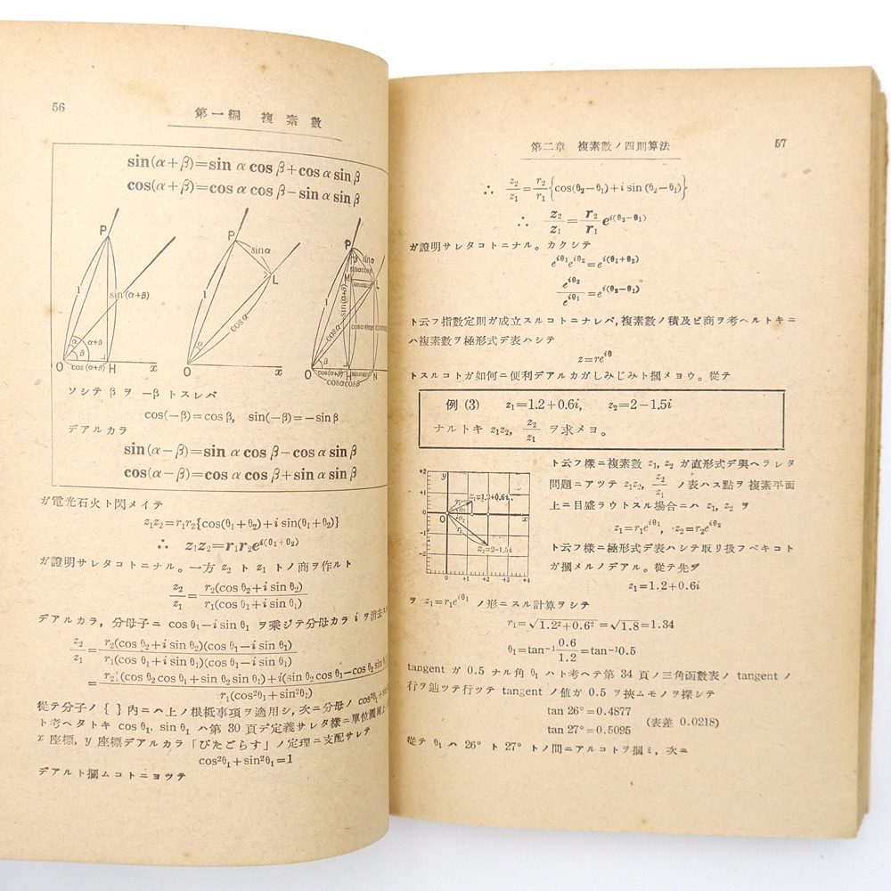 くはしい初等複素函数論 初歩学び方考へ方と解き方講義(藤森良夫