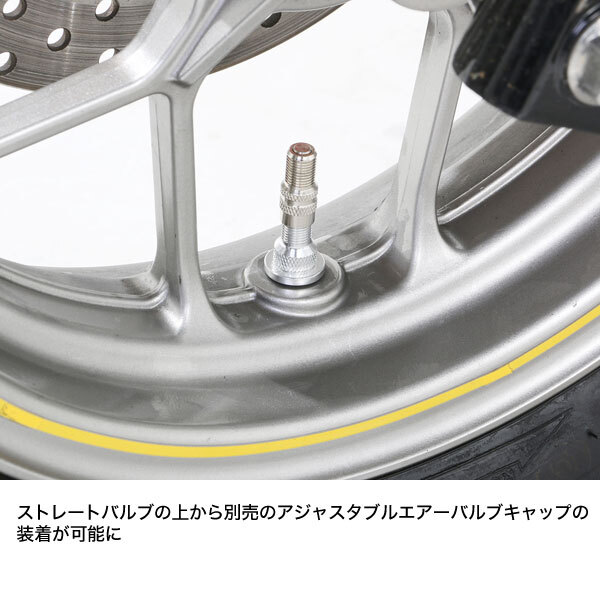 キタコ KITACO インビジブルエアーバルブ タイプ2?シルバー 0901-509-00260