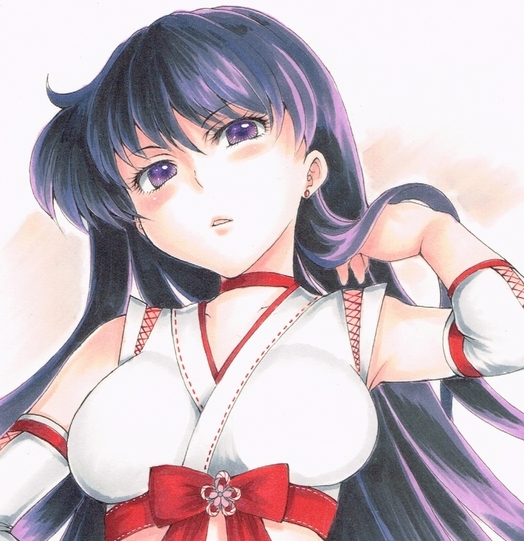 545■同人手描きイラスト【美少女戦士セーラームーン】火野レイ（セーラーマーズ）巫女衣装　☆合計6，000円以上の落札で送料無料☆