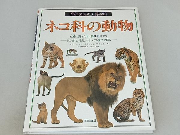 ネコ科の動物 ジュリエットクラットン・ブロック