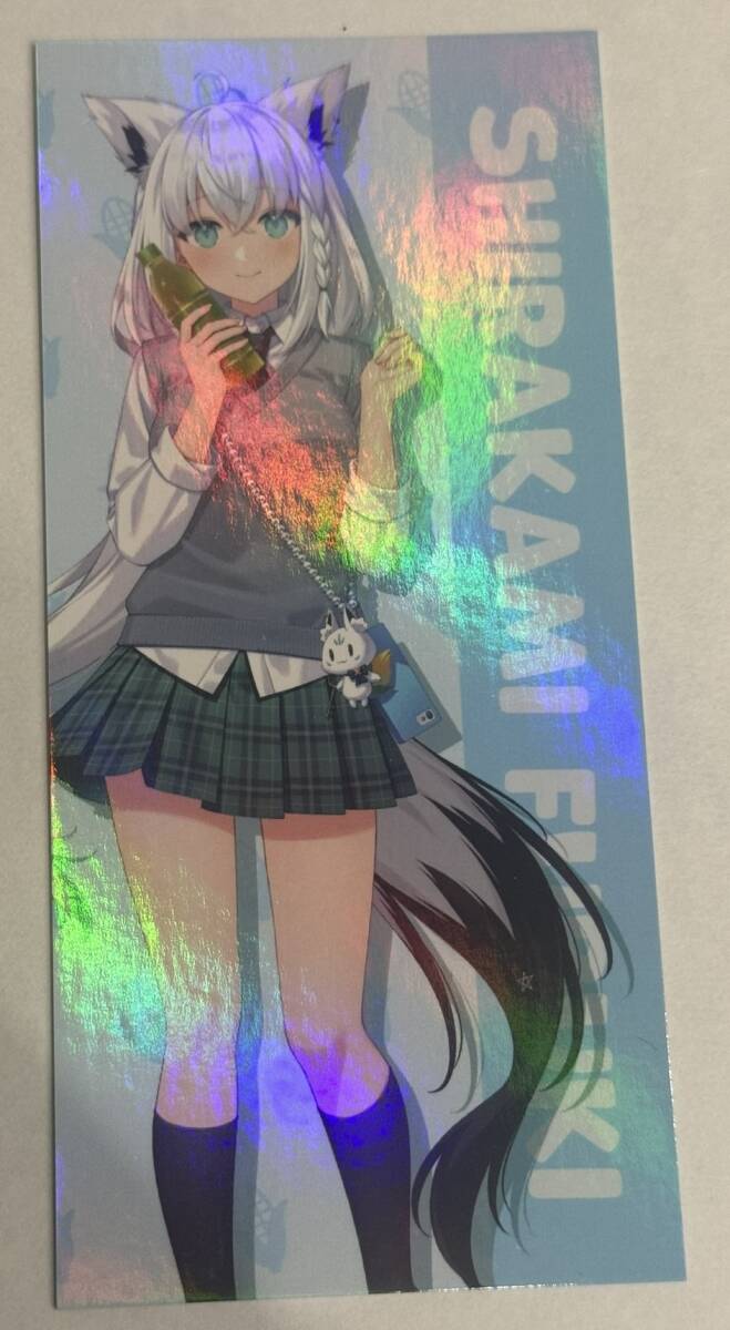 P.willinckii Jade Girl sporeling ジェイドガール 胞子培養苗1