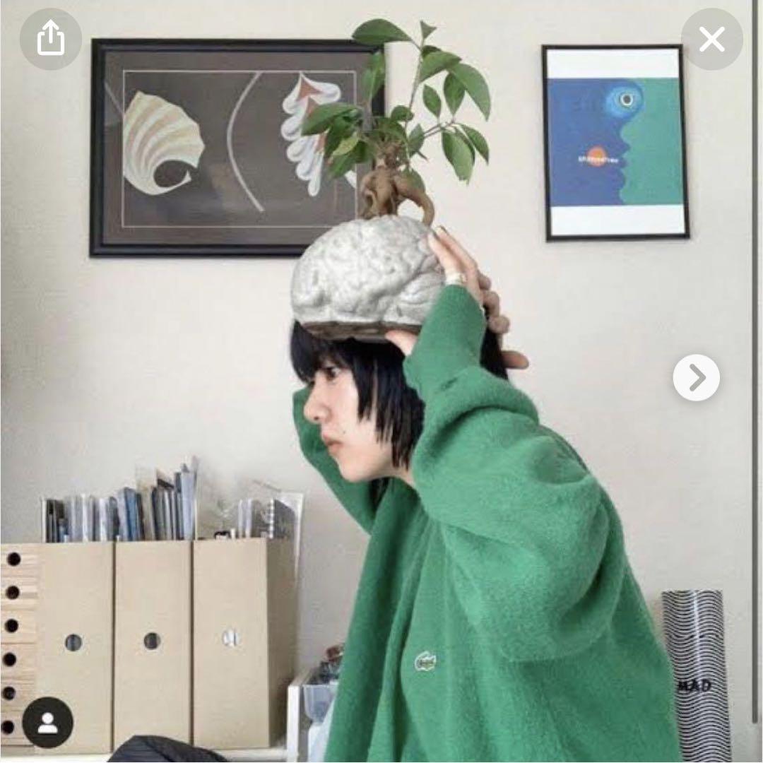 あいみょん着】80's IZOD LACOSTE ラコステ USA製 アメリカ製 あいみょん着】80's IZOD LACOSTE ラコステ USA製 アメリカ製