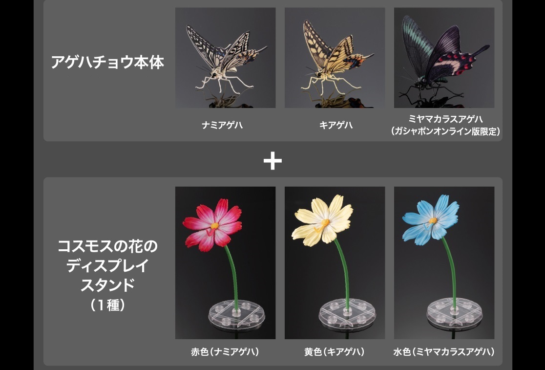 オンライン限定版 いきもの大図鑑アドバンス アゲハチョウ 全3種 フルコンプセット ナミアゲハ キアゲハ ミヤマカラスアゲハ　