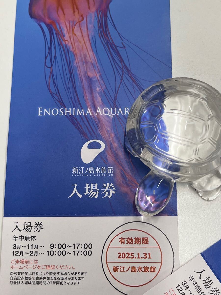 〔N〕新江ノ島水族館　入場券2枚　招待券　ペアチケット　えのすい　有効期限2025年1月末
