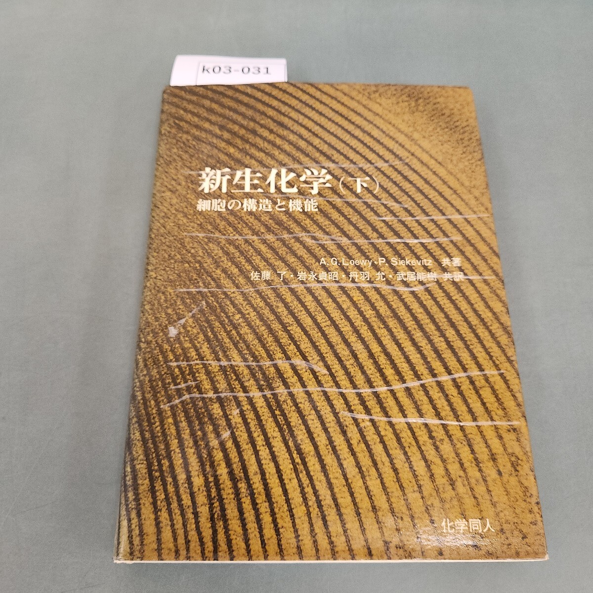 k03-031 ルーイシーケヴィッツ 新生化学(下) 佐藤 了・丹羽 允 岩永貞昭武居能樹 共訳 化学同人