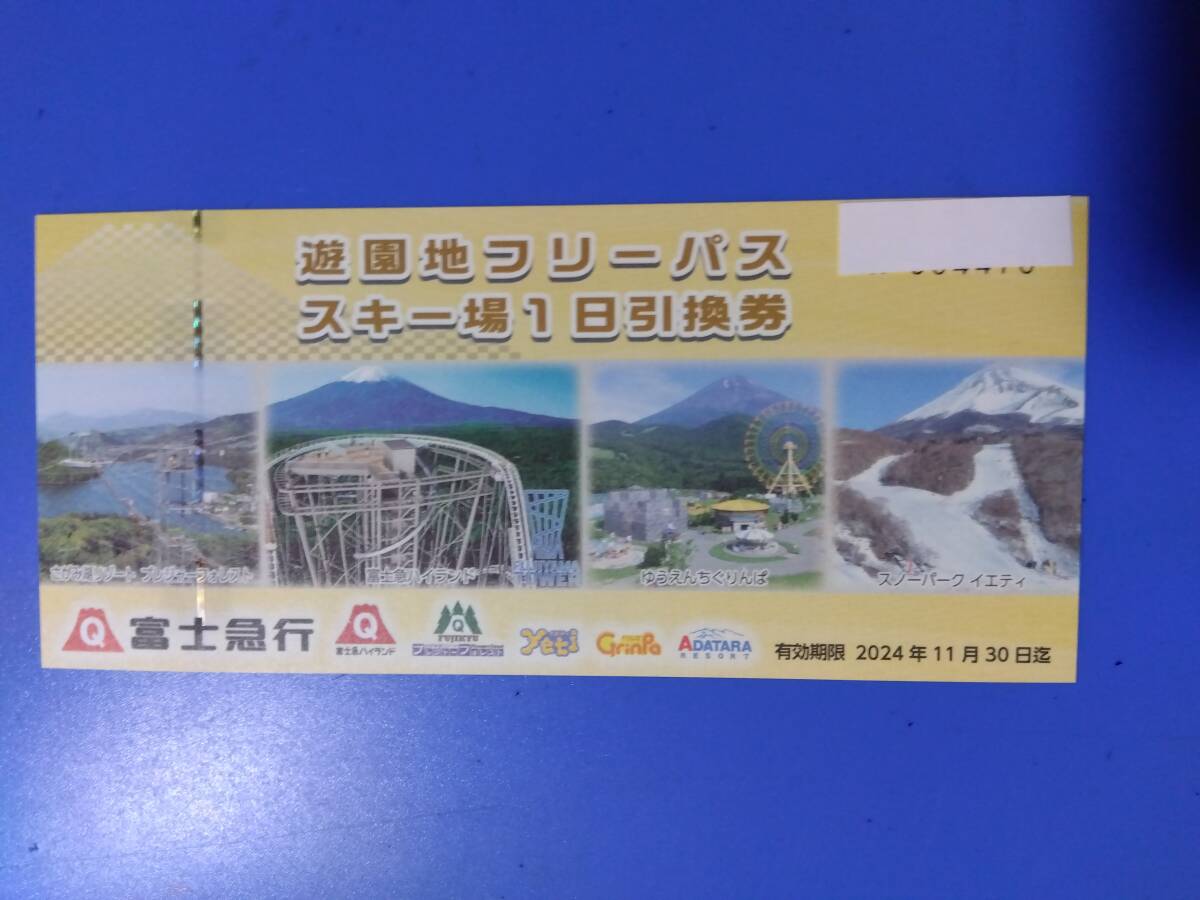富士急行　株主優待　 富士急ハイランド フリーパス引換(電車・バス・観光施設共通優待券5枚） 　1~3枚　11/30