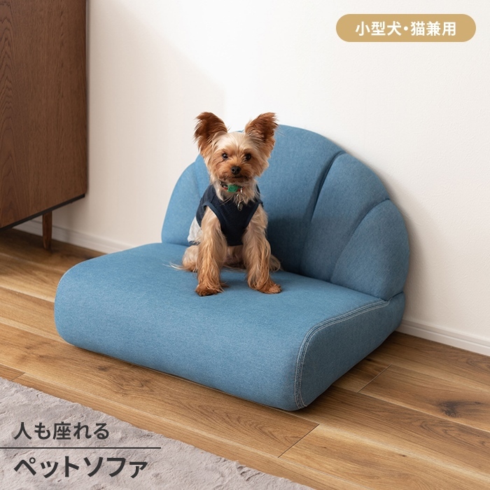 ペットソファ ペットベッド フロアソファ ローソファ 椅子 1人掛け 小型犬 猫 うさぎ 広い座面 シンプル おしゃれ ブルー M5-MGKAM01826BL