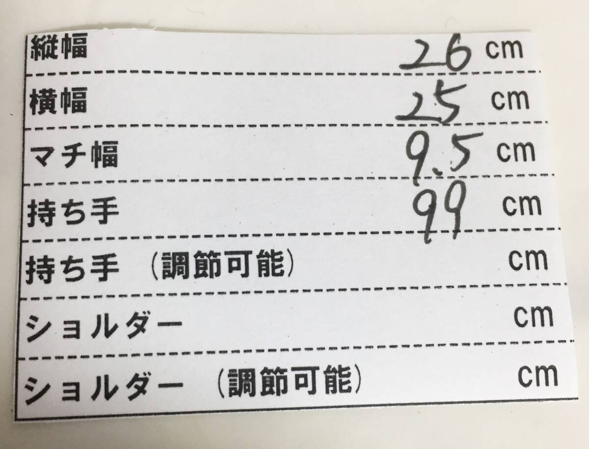 no28807 Carlos Falchi カルロスファルチ パイソン型押 エキゾチック 本革 レザー 斜め掛けショルダー バッグ_画像9