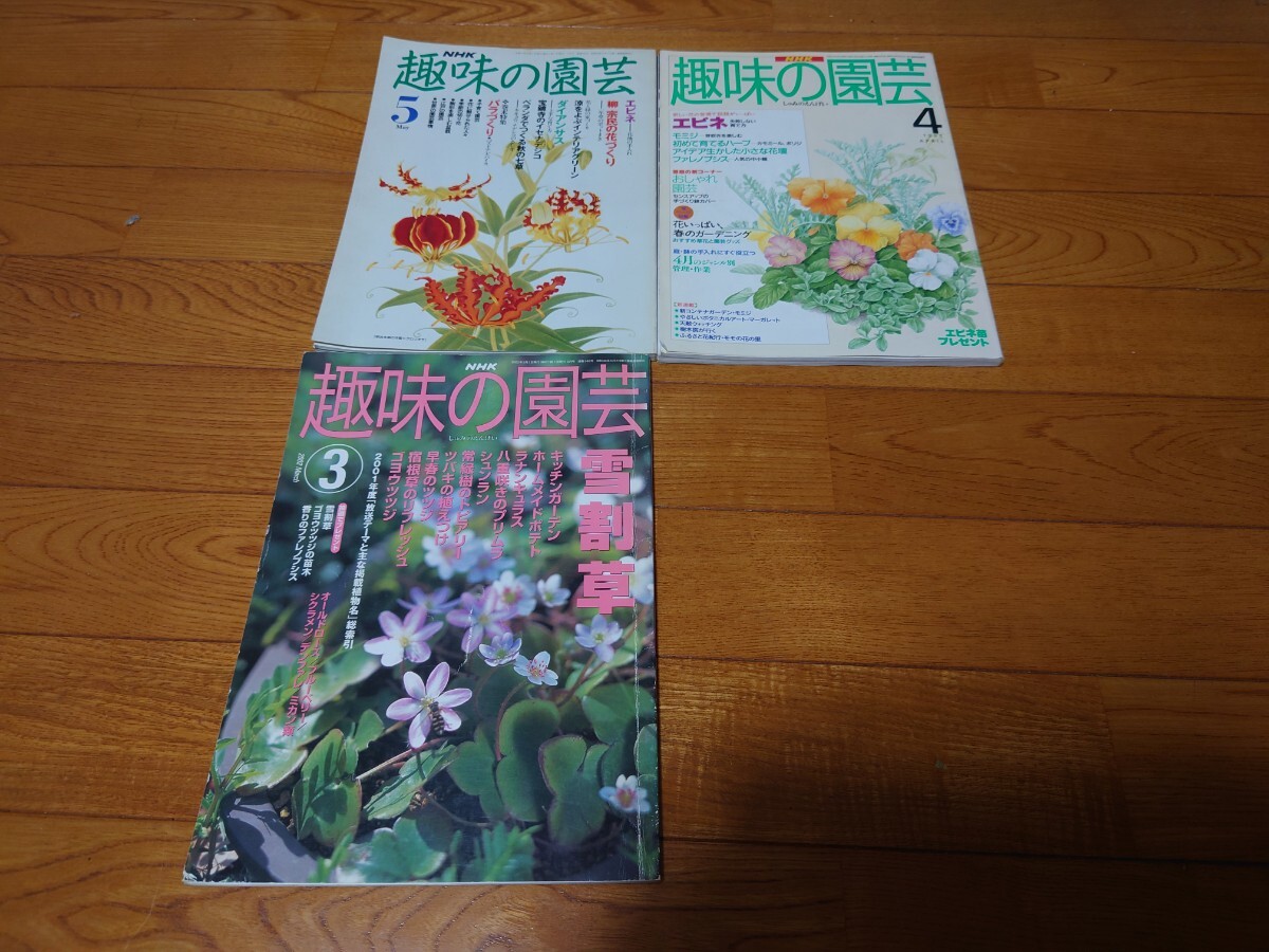2024年新作 NHK 趣味の園芸 園芸 - 昭和55年~平成14年 22冊セット その他観葉植物