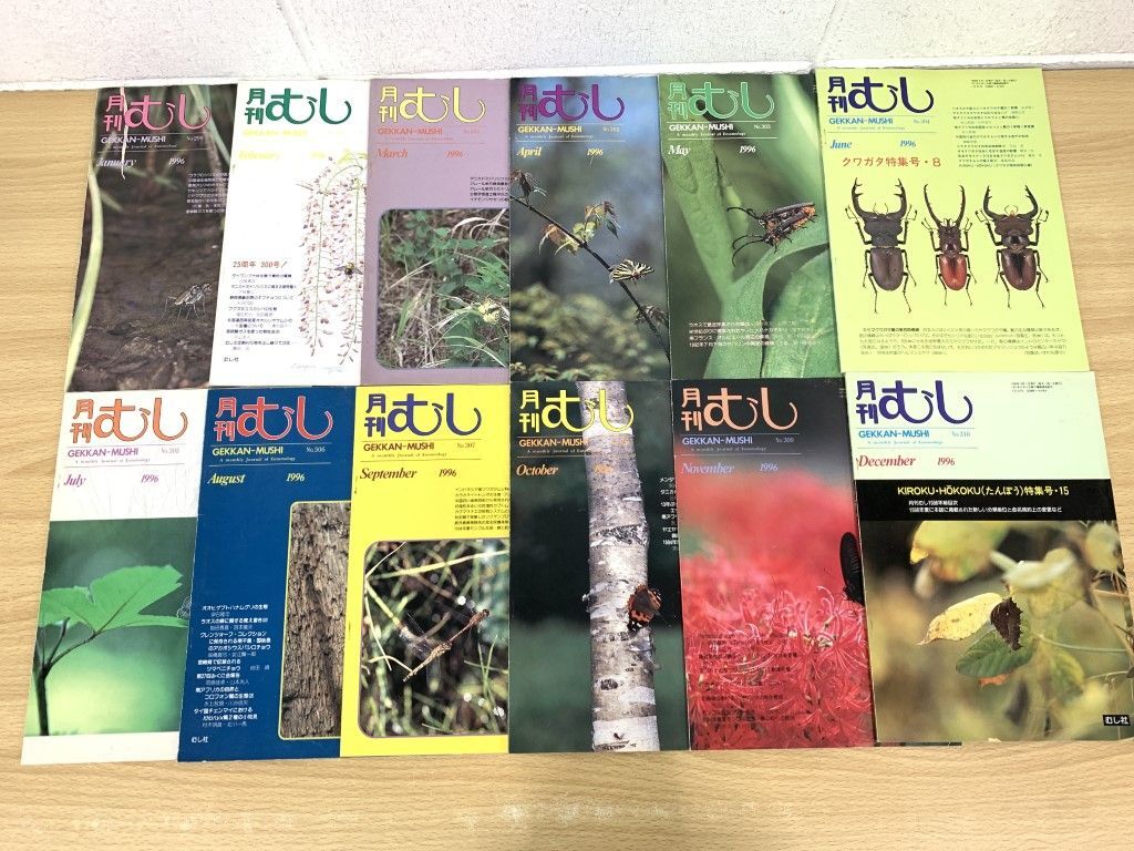 ▲01)【同梱不可】月刊むし 1996年1月〜12月号/1年分12冊セット/むし社/昆虫/雑誌/バックナンバー/A