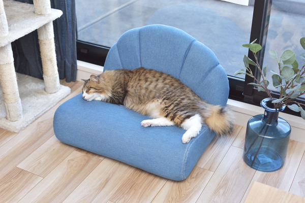  pet sofa [ blue ] tree frame cotton 