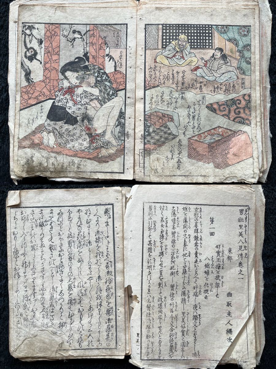 Bibian 比比昂 - 江戸期春画 歌川国貞「男壮里見八犬伝 巻之一 Bibian 比比昂 - 江戸期春画 歌川国貞「男壮里見八犬伝 巻之一