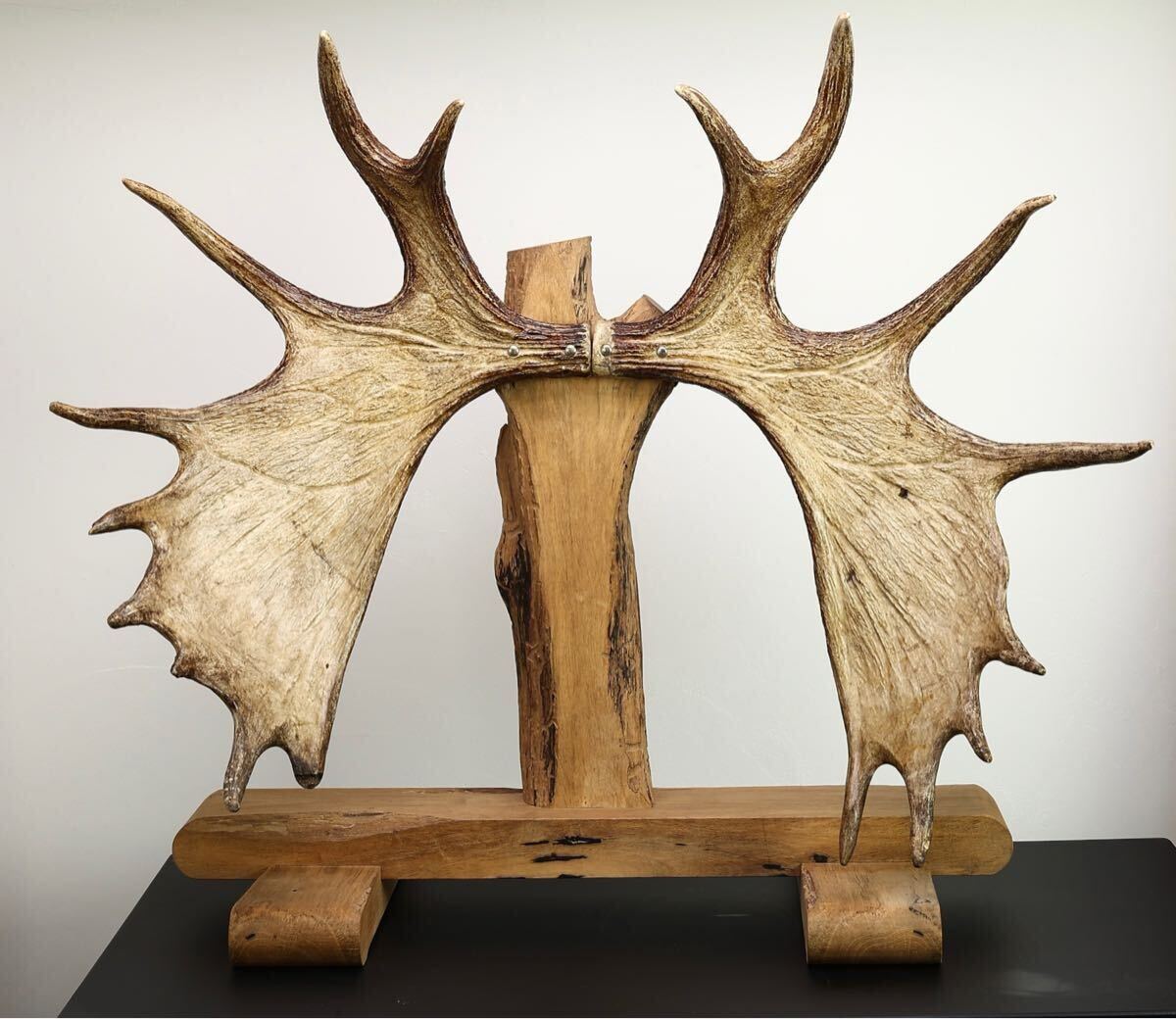 Yahoo!オークション - 特大ヘラジカの角108cm19kgエルク ムース Yahoo!オークション - 特大ヘラジカの角108cm19kgエルク ムース