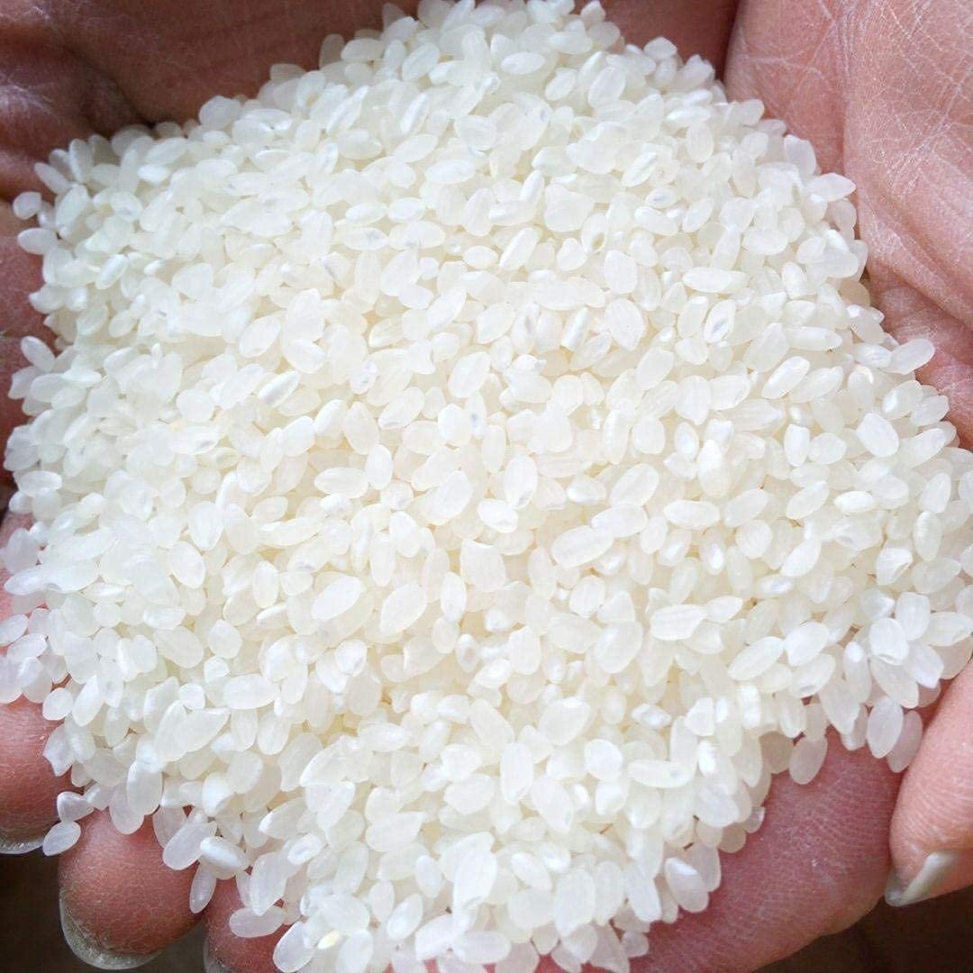 白米27kg】大粒米 令和6年度 新米 埼玉県産 コシヒカリ 白米 白米27kg】大粒米 令和6年度 新米 埼玉県産 コシヒカリ 白米
