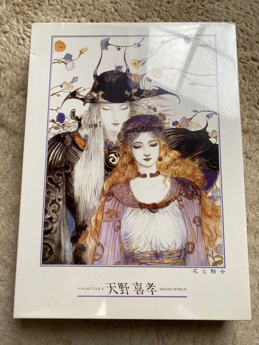 天野喜孝イラスト 女性と魚のアート 天野喜孝イラスト 女性と魚のアート