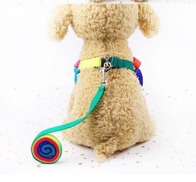 LDL2629# カラフル◆ハーネス＆リード◆M 33～45cm◆貓 小型犬 中型犬 うさぎ◆きれいなレインボーカラー?虹色 七色 胴輪 犬 ペット M