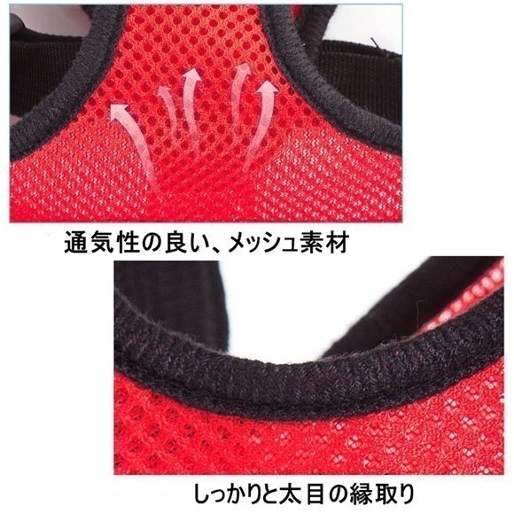 LDL2624# 胴輪とリードのセット バックルで著脫が簡単?小型犬 中型犬 ペット【M】黒