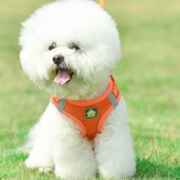 LDL2630# 犬 貓★ハーネス＆リード【XLネイビー】メッシュで柔らかい 著せやすい 苦しくない 犬服 胴輪 中型犬【XL 濃紺 青】ベスト型 洋