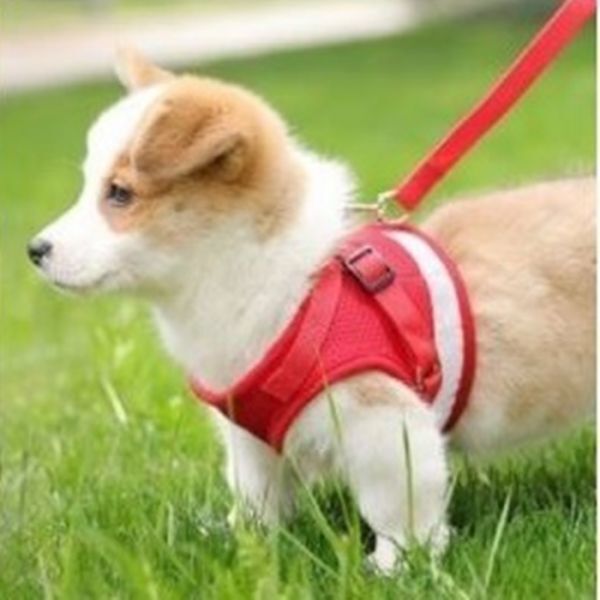 LDL2634# 犬 貓★ハーネス＆リード【S】赤★メッシュで柔らかい?著せやすい、苦しくない 犬服 胴輪 小型犬 貓【レッド S】ベスト型 洋服型