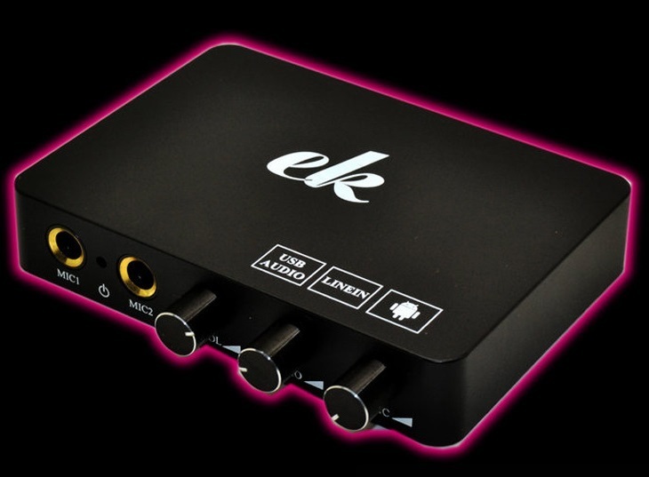 WJ411#ワイヤレスカラオケ プレーヤー オーディオミキサーマイク２本 家庭用 デジタルサウンドシステム 音楽