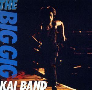 THE BIG GIG(2SHM-CD)/甲斐バンド