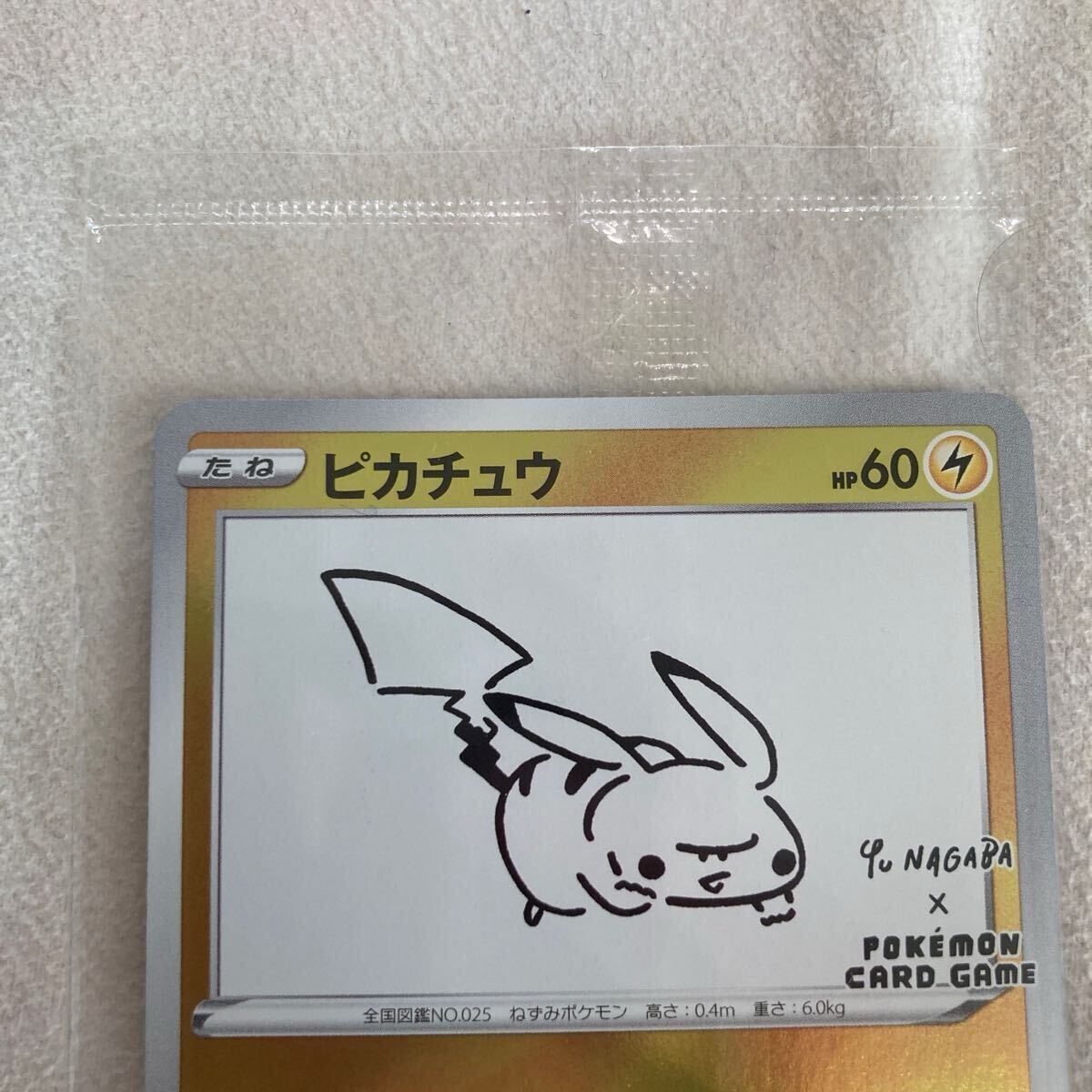 袋に線傷 スレ等ダメージあり ポケモンカードゲーム プロモ 袋に線傷 スレ等ダメージあり ポケモンカードゲーム プロモ
