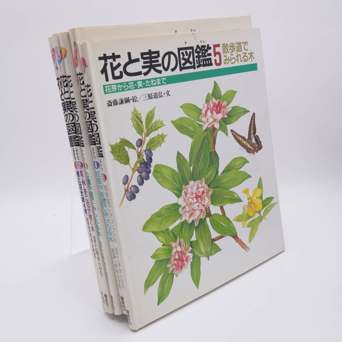 花と実の図鑑　1-5冊セット 斎藤謙綱 三原道弘 偕成社