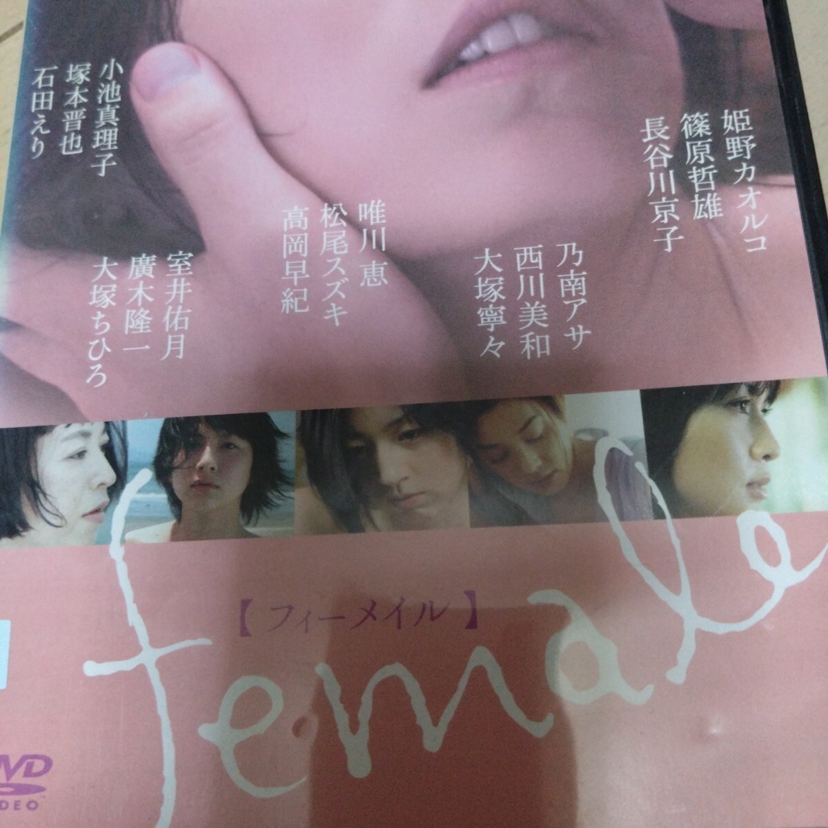 ディスクのみ　映画　DVD　フィーメイル