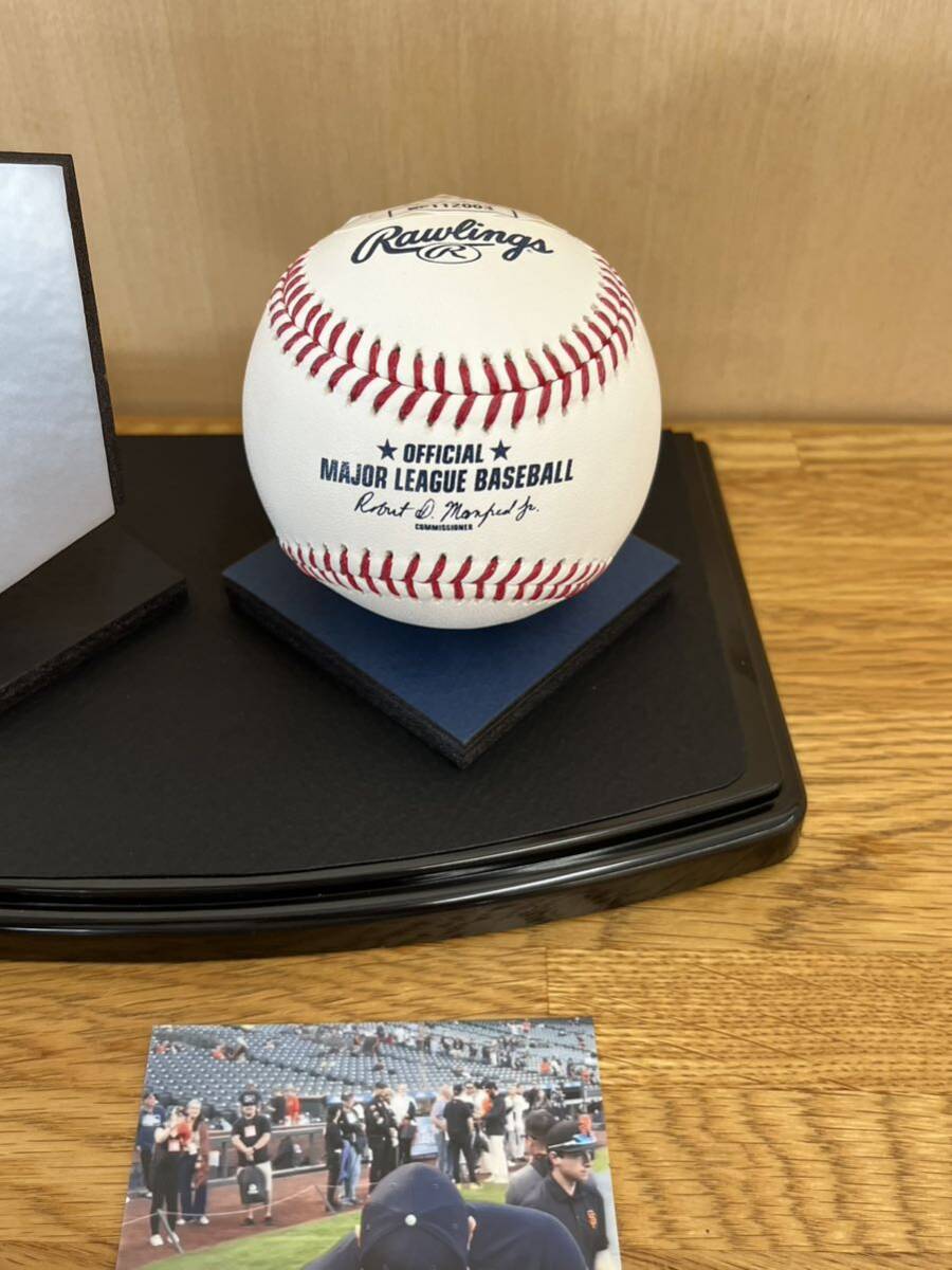 正規品！アーロンジャッジ　直筆サインボール MLB ホログラム 楽天市場】【MLB公式ホログラム付】MLB ヤンキース アーロン