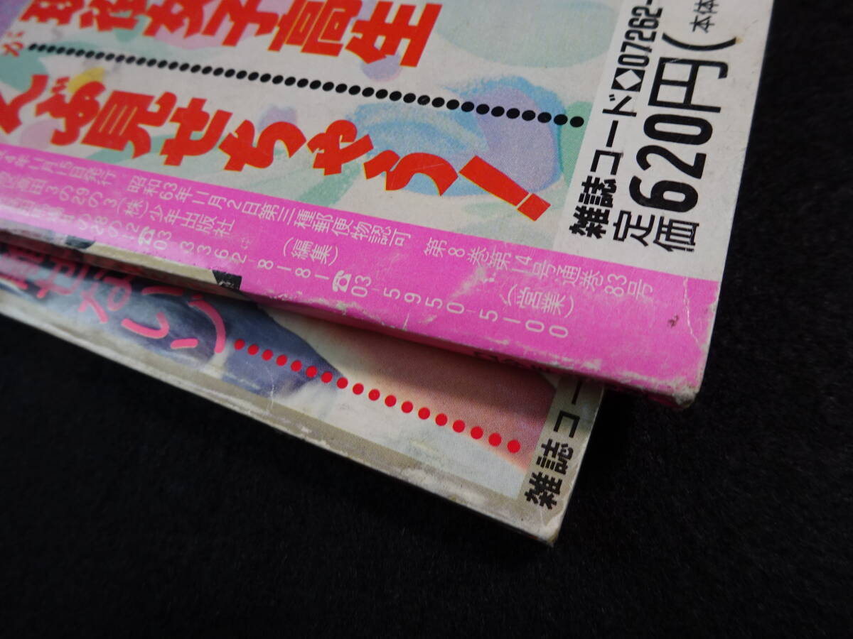 6475/【2冊セット】 ねつれつ女子高生熱烈投稿増刊1990年秋の号 6475/【2冊セット】 ねつれつ女子高生熱烈投稿増刊1990年秋の号