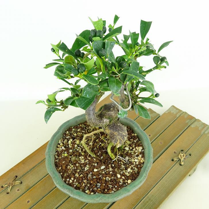 item_image_8