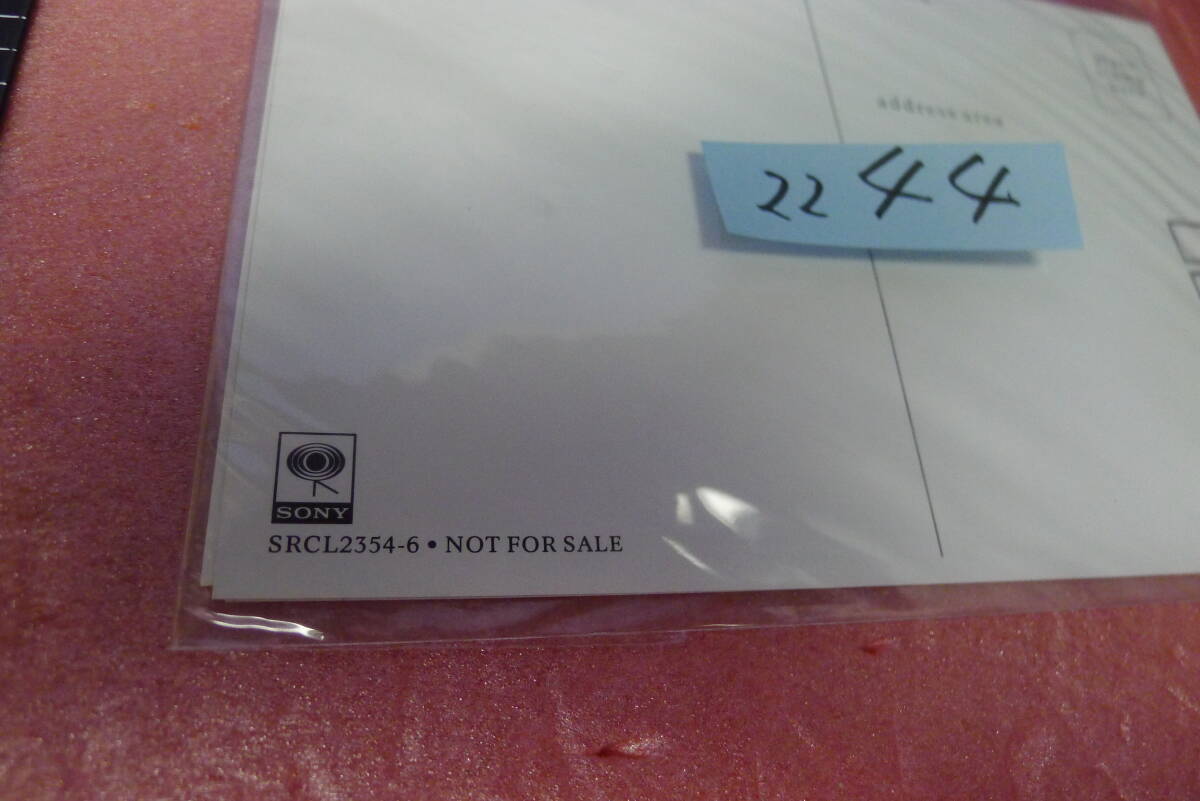 itk-2244　浜田省吾（公式FC関系）「特制フォト?３枚セット」未使用?非売品