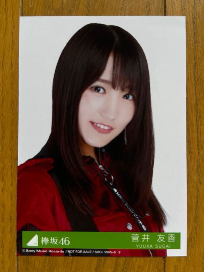 櫻坂46 菅井友香 さくかっ 生写真 ⑪ 櫻坂46 菅井友香 さくかっ 生写真 ⑪