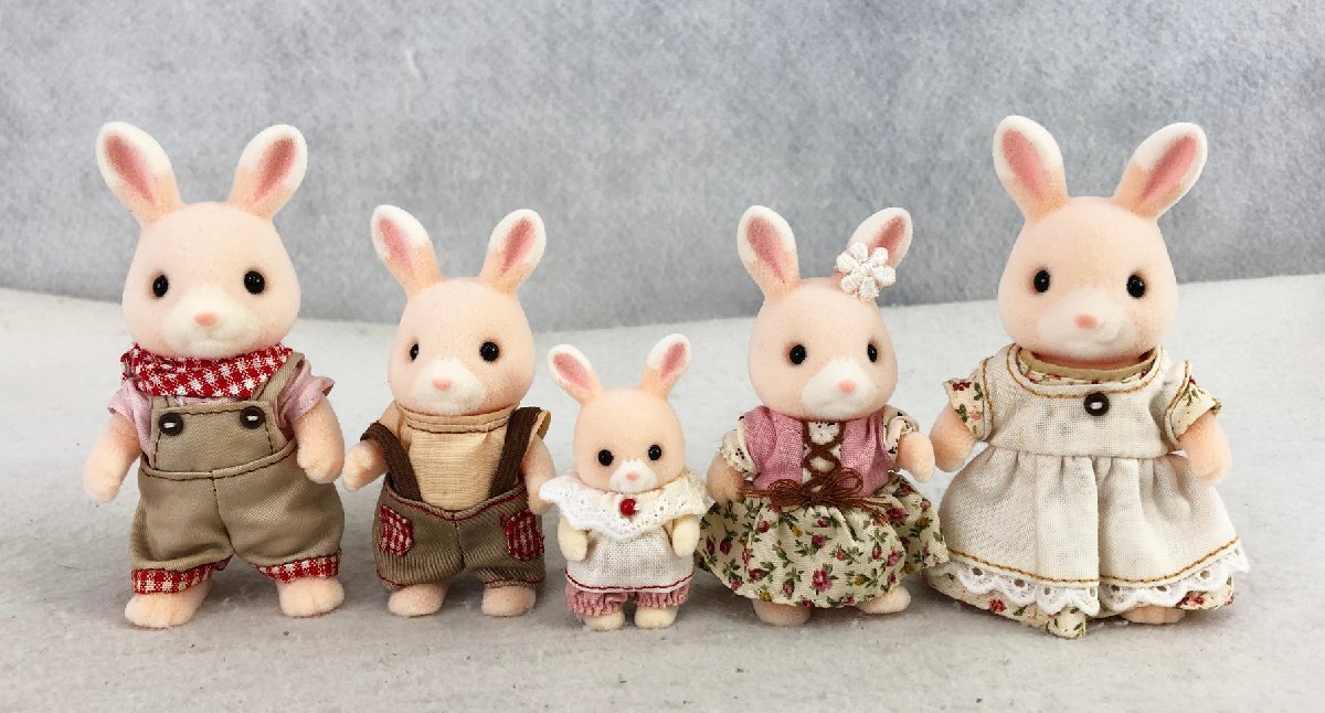 人気ブラドン 品 ぐりんぱ限定 ののはなウサギファミリー シルバニア人形 小物