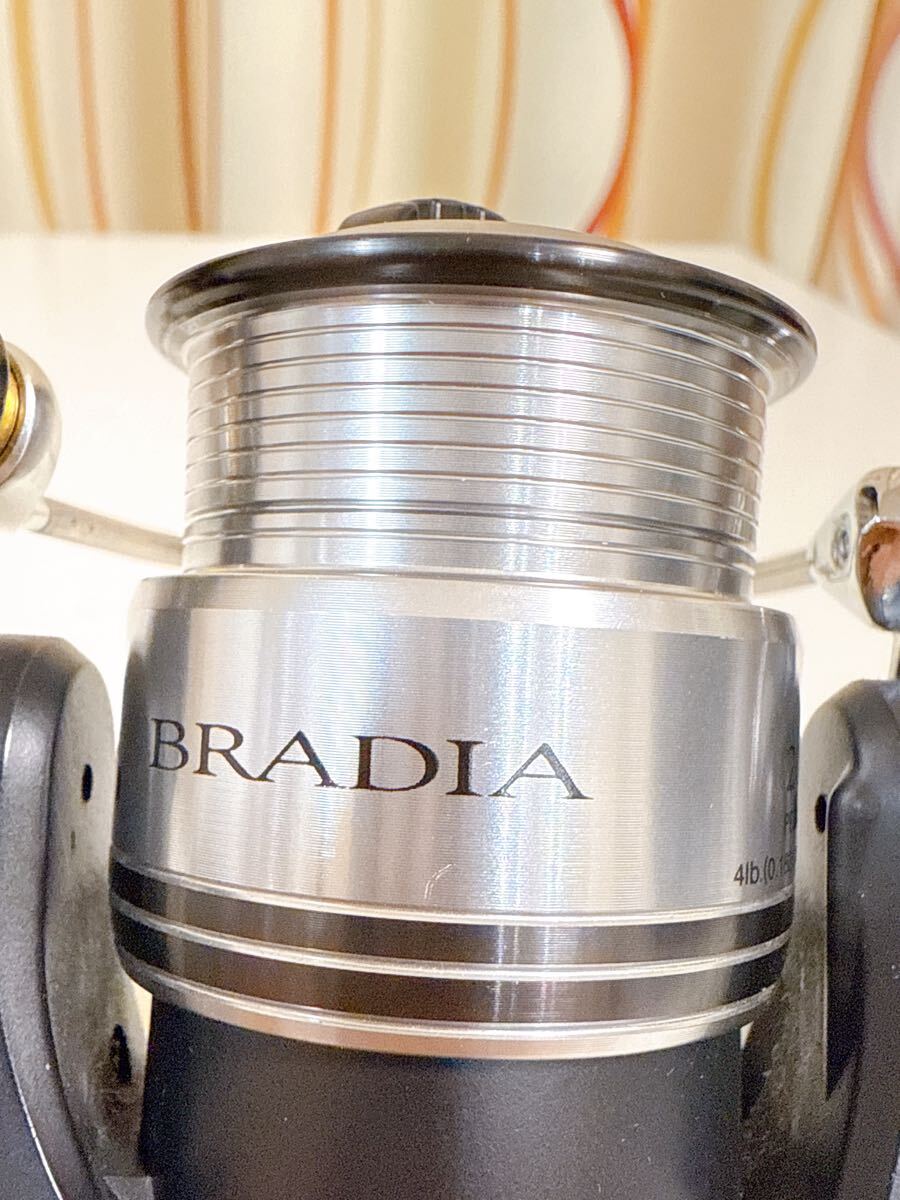 希少 ダイワ ブラディア 2004 日本製 MADE IN JAPAN Daiwa 希少 ダイワ ブラディア 2004 日本製 MADE IN JAPAN Daiwa