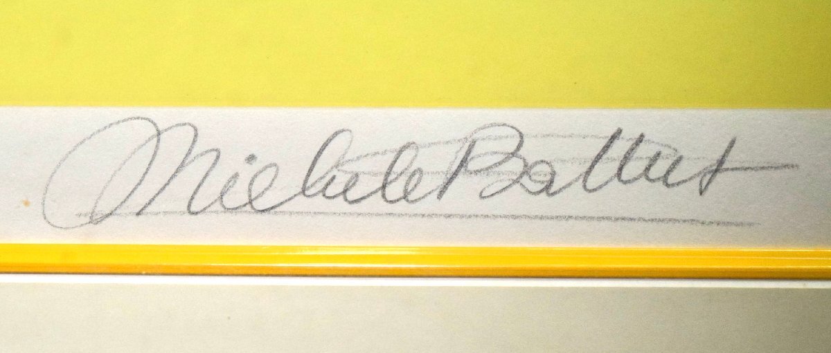 Yahoo!オークション - (2-22267)ミッシェル・バテュ『熱き国インド』7/