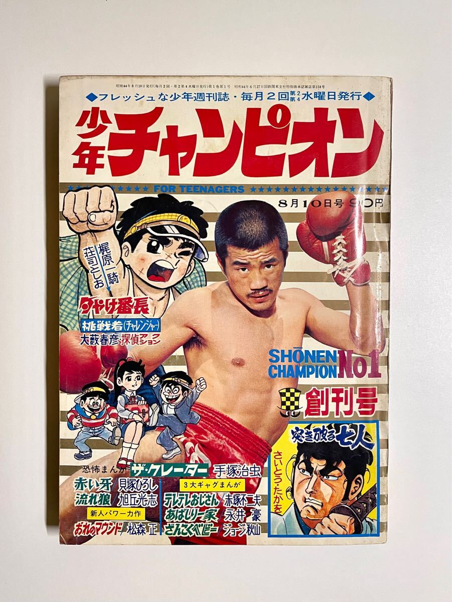 週刊少年サンデー1995年1~52号全48冊セット 極美品多数 週刊少年サンデー1995年1~52号全48冊セット 極美品多数