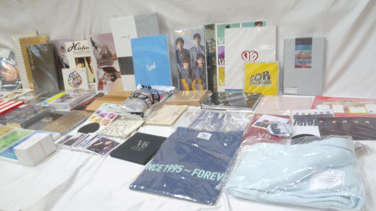 【まとめ売り 動作未確】 ジャニーズ タッキー&翼 V6 Kinki Kids 他 BEST DVD パンフレット 等 グッズセット