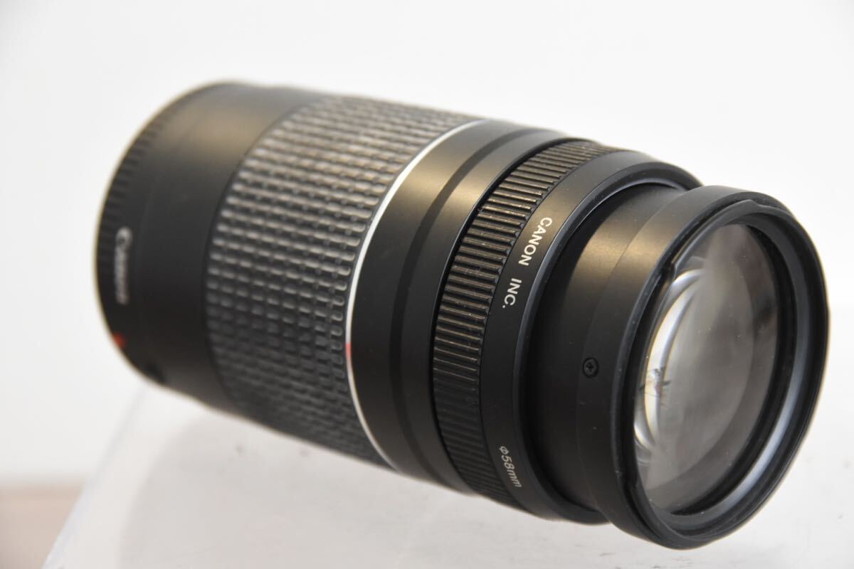  линзы LENS Canon Canon EF 75-300mm F4-5.6 Ⅲ X14