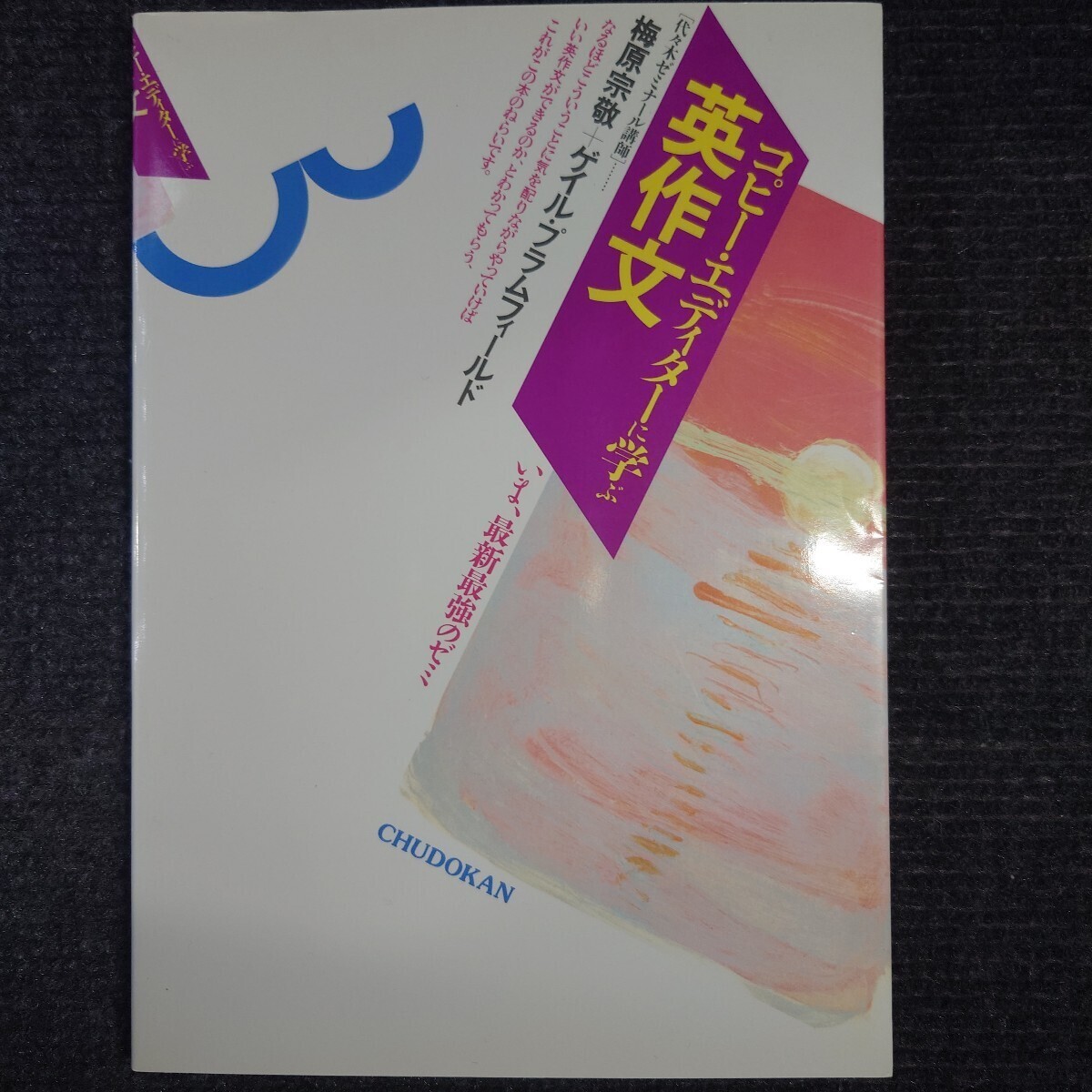 【貴重】代ゼミ コピーエディターに学ぶ英作文 (梅原宗敬)代々木ゼミナール 駿台 予備校 河合塾 英文法 和文英訳 自由英作文 絶版 大学入試