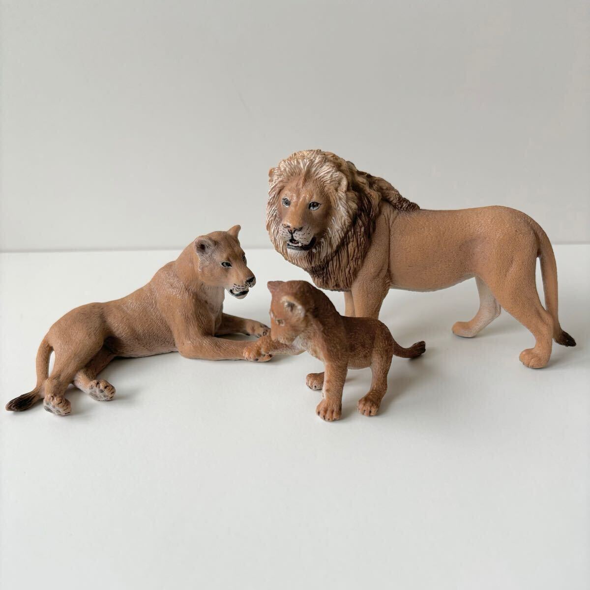 シュライヒ Schleich ライオン 親子 オス メス 仔 動物 シュライヒ Schleich ライオン 親子 オス メス 仔 動物