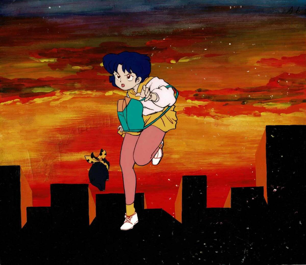 らんま1/2 天道あかね Pちゃん セル画 背景画 高橋留美子 週刊 らんま1/2 天道あかね Pちゃん セル画 背景画 高橋留美子 週刊