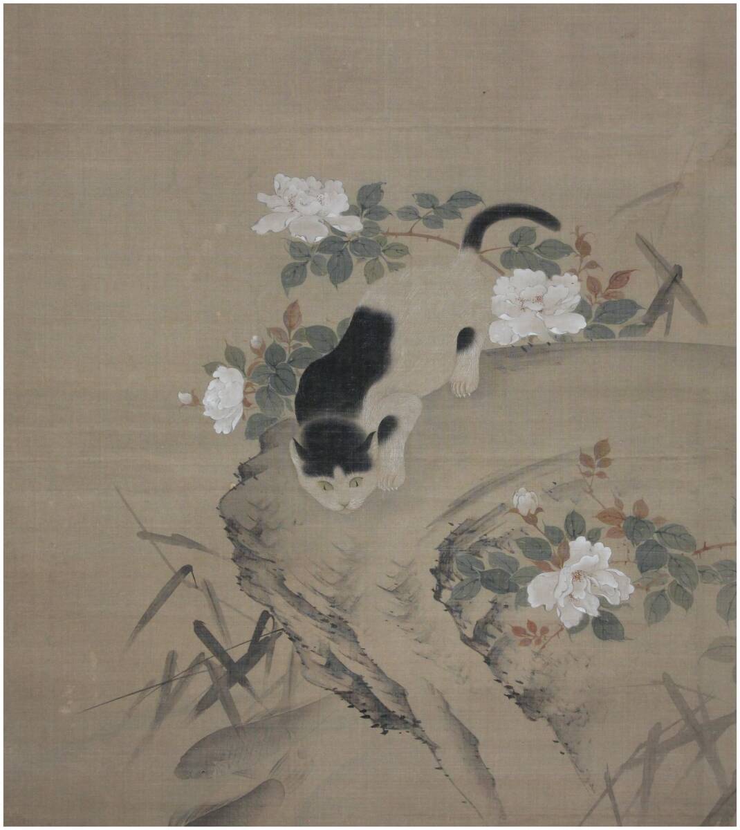 おすすめ 春挙 山元春挙 円山四条派 狆の図 日本画 掛軸 犬の絵 おすすめ 春挙 山元春挙 円山四条派 狆の図 日本画 掛軸 犬の絵