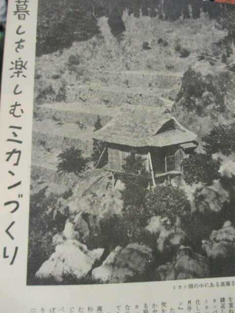 月刊誌　柑橘　1949年1月～1959年6月　合計119冊　　　即決!!