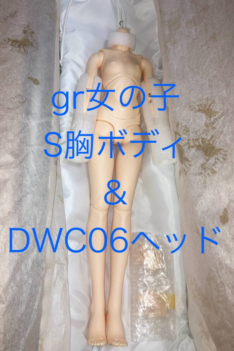 SDGr女の子S胸ボディ(サファイア) + DWC06ヘッド(PSフェアスキン) 未使用
