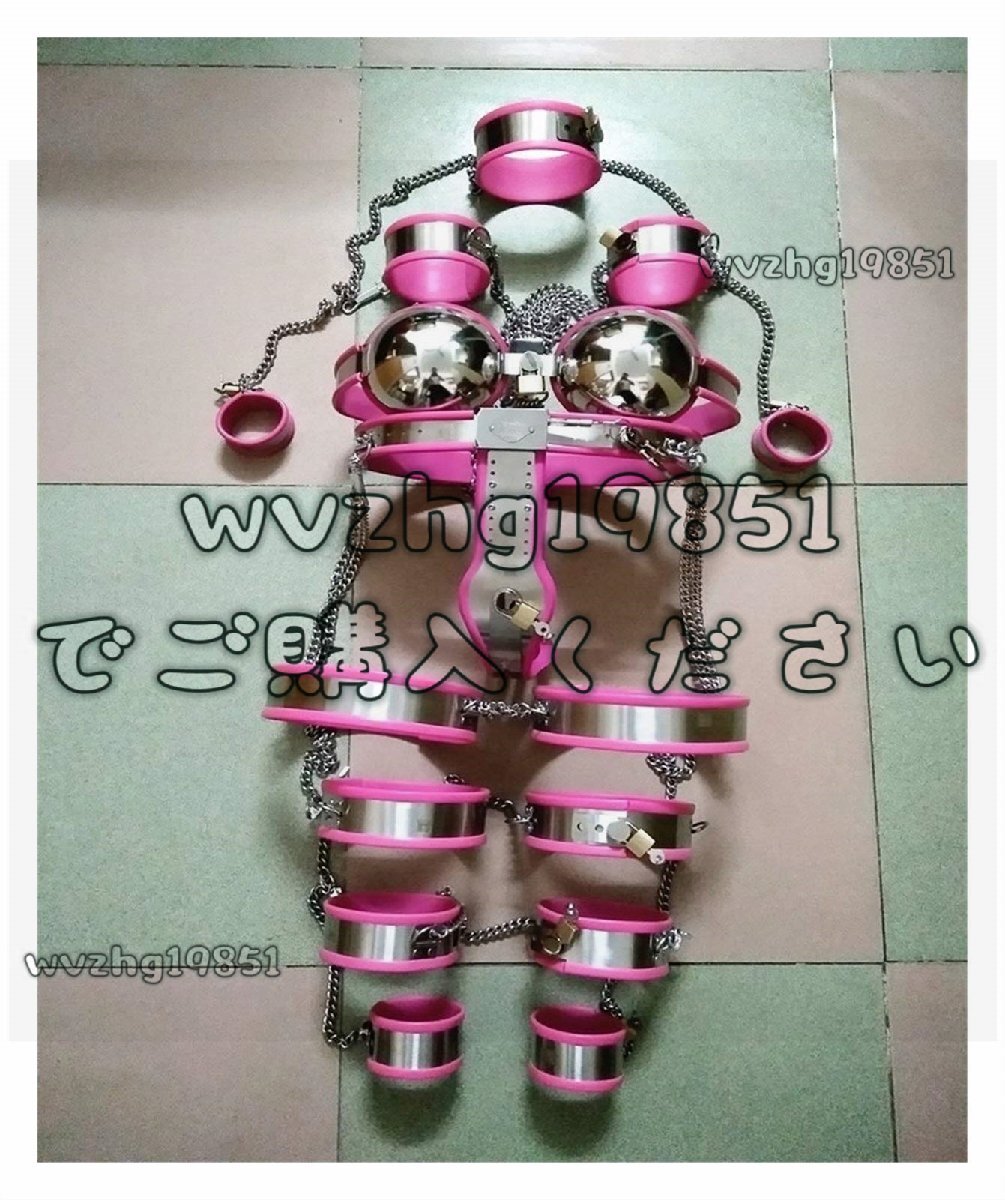 貞操帯　女 女性貞操帯9個/セット、ステンレス鋼貞操帯ブラジャーパンティー女性はSM拘束を着用 女性用貞操帯 - その他