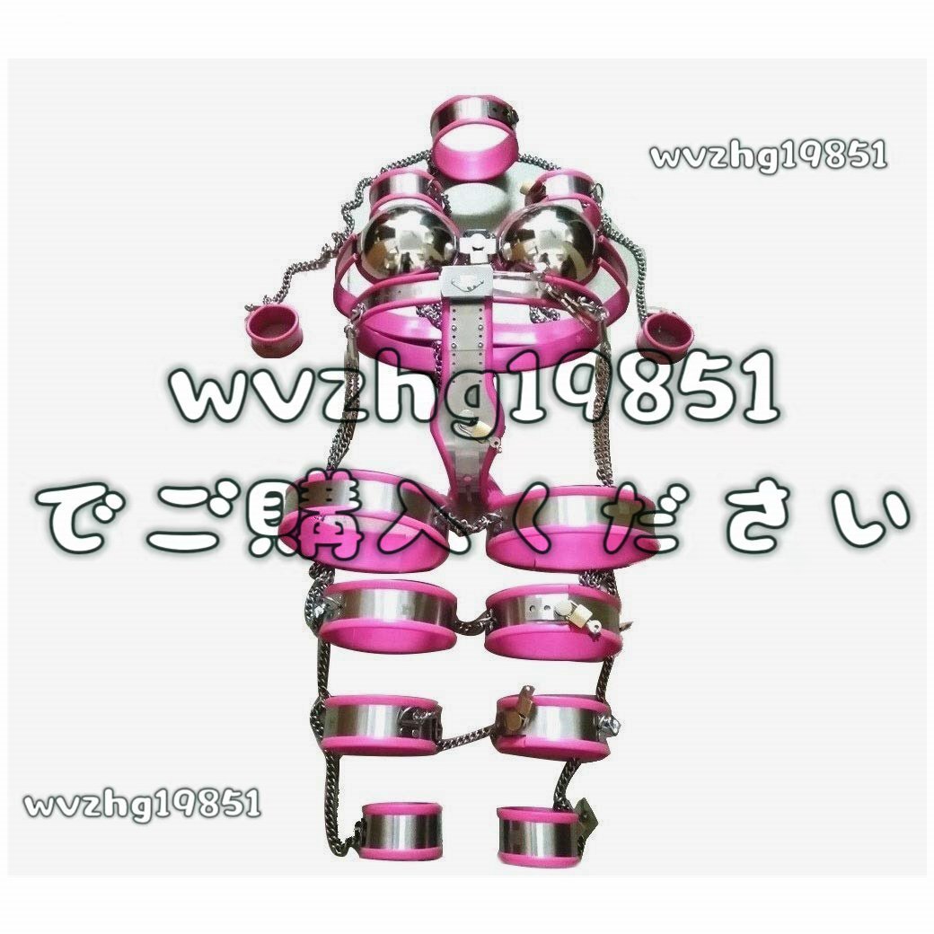 貞操帯　女 女性貞操帯9個/セット、ステンレス鋼貞操帯ブラジャーパンティー女性はSM拘束を着用 女性用貞操帯(コスプレ衣装)｜売買されたオークション情報、Yahoo!オークション(旧ヤフオク!)  の商品情報をアーカイブ公開 - オークファン（aucfan.com）