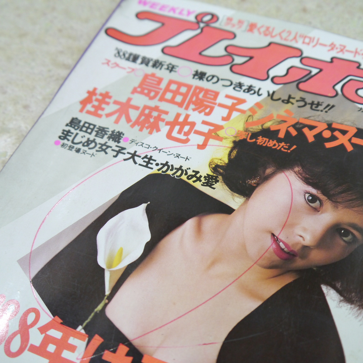 週間プレイボーイ 1988年 島田陽子 桂木麻也子 売れ筋 週間プレイボーイ 1988年 島田陽子 桂木麻也子 売れ筋