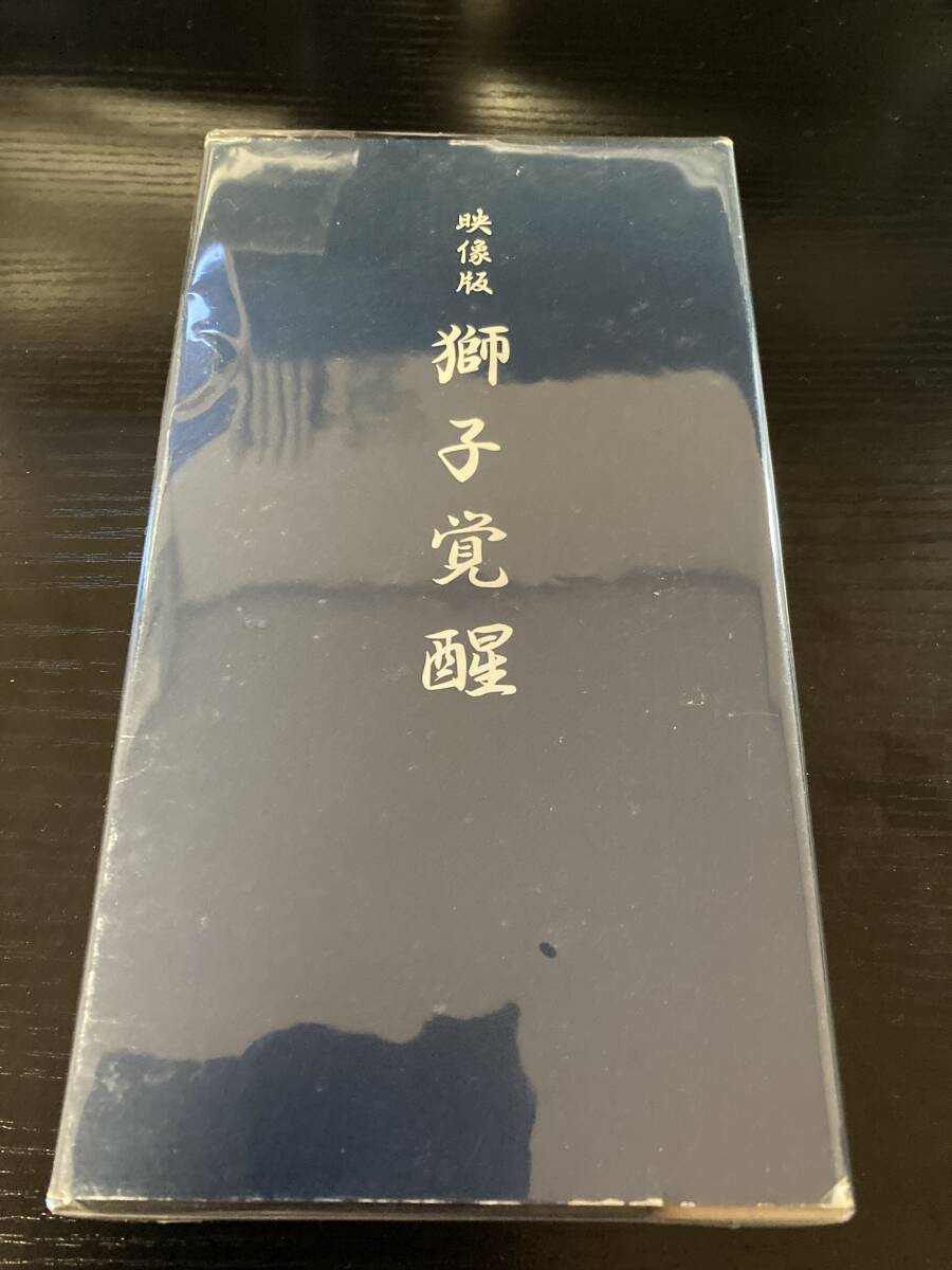 STRONG STYLE 映像版・獅子覚醒 VHS ストロングスタイル Oi スキンズ