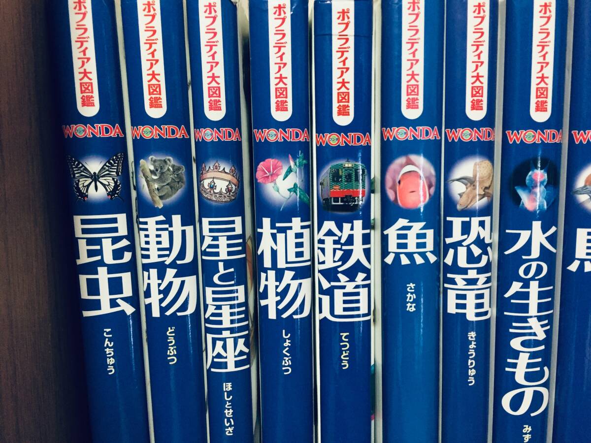 ポプラディア大図鑑WONDA ワンダ ポプラ社 全16巻|Yahoo!フリマ ポプラディア大図鑑WONDA ワンダ ポプラ社 全16巻|Yahoo!フリマ